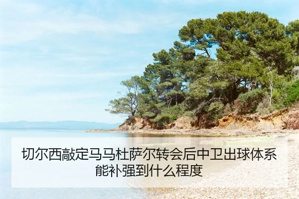 qie-er-xi-qiao-ding-ma-ma-du-sa-er-zhuan-hui-hou-zhong-wei-chu-qiu-ti-xi-neng-bu-qiang-dao-shen-me-cheng-du-2-147.jpg