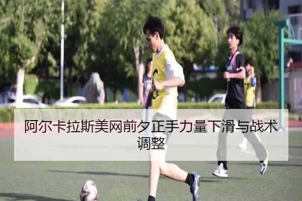 a-er-ka-la-si-mei-wang-qian-xi-zheng-shou-li-liang-xia-hua-yu-zhan-shu-tiao-zheng-2-192.jpg