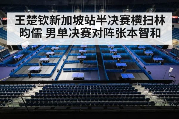 table tennis final