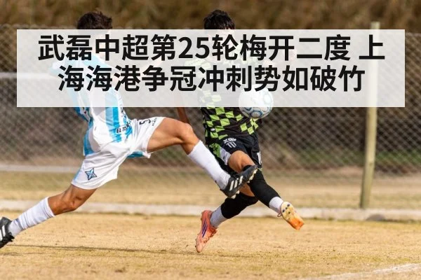 Shanghai Port football match