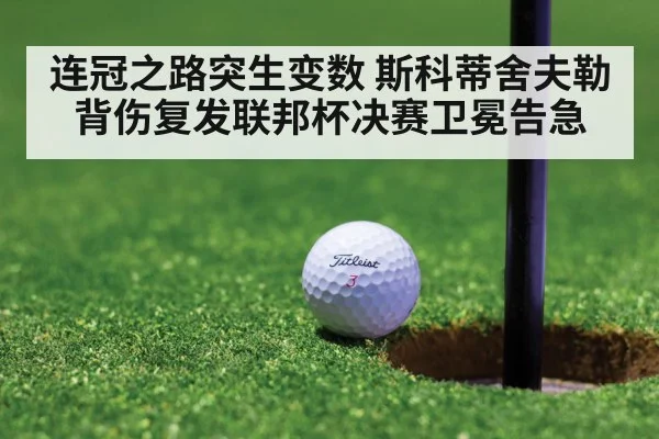 连冠之路突生变数 斯科蒂舍夫勒背伤复发联邦杯决赛卫冕告急